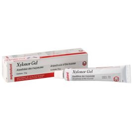 Xylonor Gel Lidocaine Mint FLavour 15g