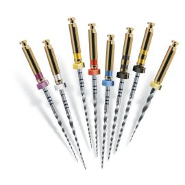 Dentsply Protaper Finishing File - 25mm F4 Black - Pack of 6 File