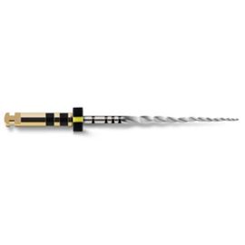 Protaper Next X4 - 31mm