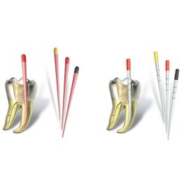 Dentsply Waveone Gutta Percha Points - Small - Pack Of 60