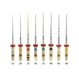 Dentsply Profile 04 - 21mm Size 15 - Pack of 6 File