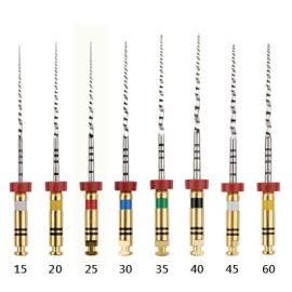 Dentsply Profile 06 - 25mm Size 25 - Pack of 6 File