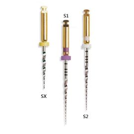 Dentsply Protaper Shaping File - 21mm S1 Purple - Pack of 6