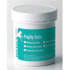 Pegasus Prophy Paste - Mint (Medium) - 250g