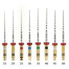 Dentsply Profile 04 - 25mm Size 20 - Pack of 6 File