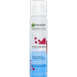 Garnier Moisture Bomb Face Mist Protect and Hydrate 75ml