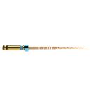 Dentsply Protaper Gold Finishing File - 31mm F3 - Blue - Pack of 6