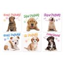 Sherman Puppy Patient Stickers - 1 Pack Of 100 Stickers